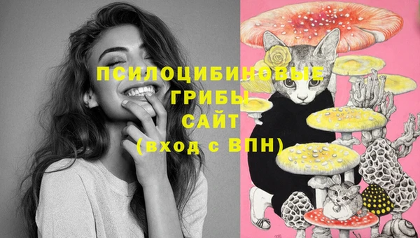 герыч Арсеньев