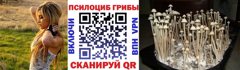 Галлюциногенные грибы мицелий ссылка на мегу рабочий сайт Вилючинск